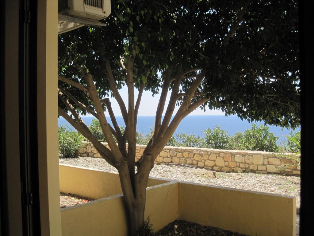 Sfinias Apartments Kalí Limenes Habitación foto